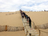 Tag9_dune_du_Pilat_Treppe.JPG