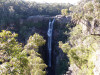 Sydney12_Carrington_Falls.jpg