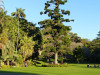 Sydney11_Botanischer_Garten04.jpg
