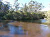 Sydney12_Kangaroo_River.jpg